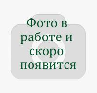 фото в работе