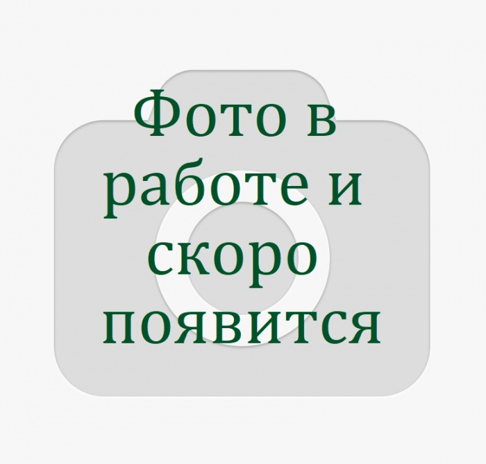 фото в работе